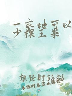 一亩地可以种多少棵玉米