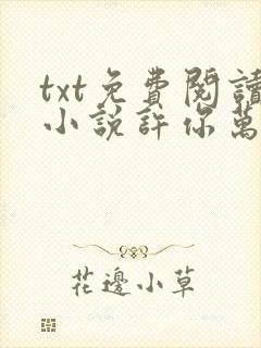 txt免费阅读小说许你万丈光芒好
