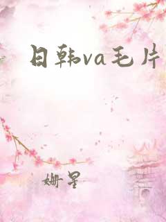 日韩va毛片