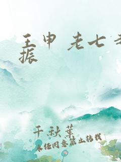 王申 老七 赵振
