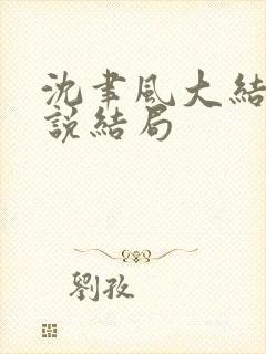 沈聿风大结局小说结局