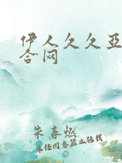 伊人久久亚洲综合网