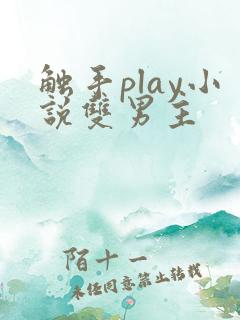 触手play小说双男主