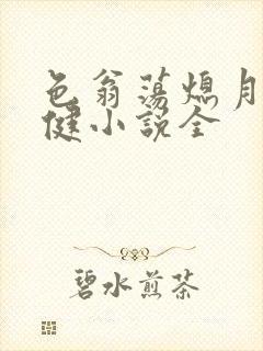 色翁荡熄月月健健小说全
