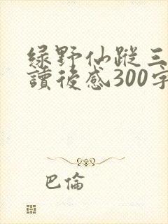绿野仙踪三年级读后感300字10篇
