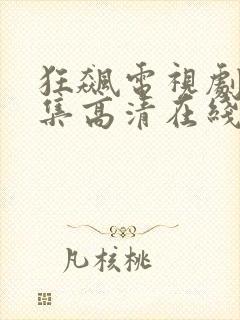 狂飙电视剧40集高清在线观看免费