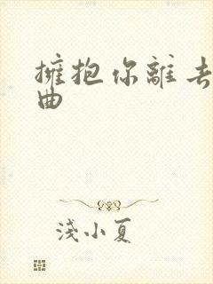 拥抱你离去的歌曲