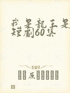 我是龙王是医圣短剧60集