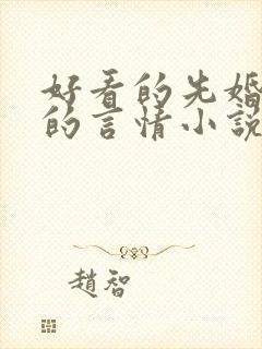 好看的先婚后爱的言情小说