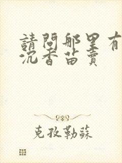 请问那里有奇楠沉香苗卖