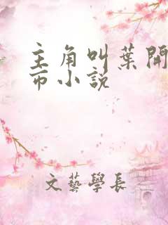 主角叫叶开的都市小说