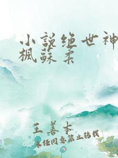 小说绝世神皇楚枫苏柔
