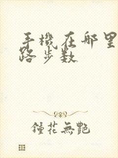 手机在哪里看走路步数