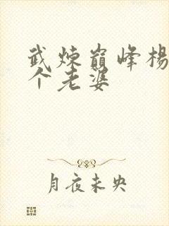 武炼巅峰杨开几个老婆