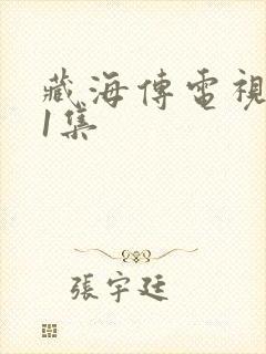 藏海传电视剧11集