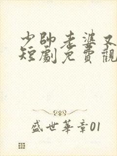 少帅老婆又跑了短剧免费观看高清