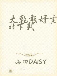 大乾憨婿完本txt下载