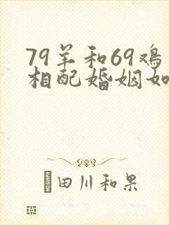 79羊和69鸡相配婚姻如何