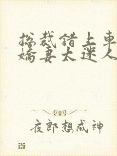 总裁错上车闪婚娇妻太迷人