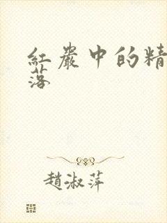 红岩中的精彩段落