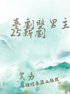 台剧双男主2025新剧