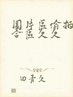 图片区偷拍区综合区久久