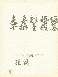 夫妻离婚俩个孩子抚养权怎么判定
