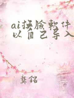 ai换脸软件可以自己导入视频