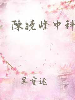 陈晓峰中科院