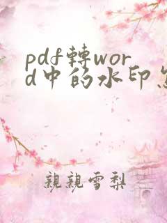 pdf转word中的水印怎么去除