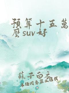 预算十五万买什么suv好