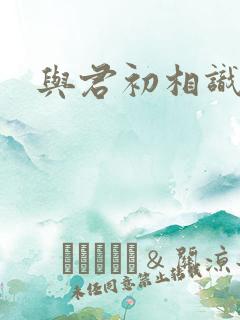与君初相识小说