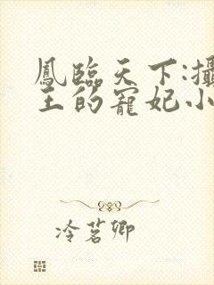 凤临天下:摄政王的宠妃小说小说
