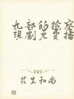 九部的检察官电视剧免费播放全集