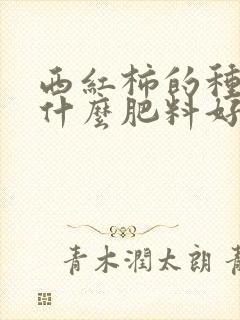 西红柿的种植用什么肥料好
