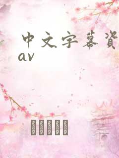 中文字幕资源网av
