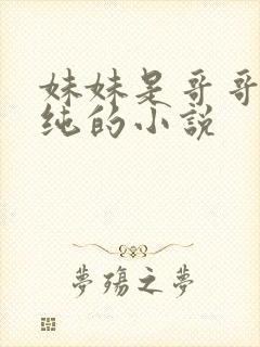 妹妹是哥哥的安纯的小说