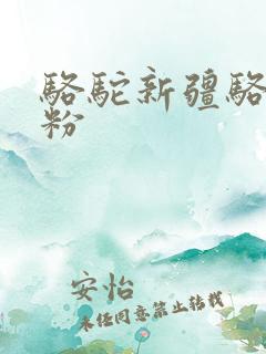 骆驼新疆骆驼奶粉