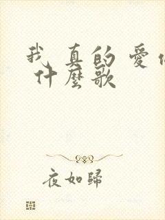 我 真的 爱你 什么歌
