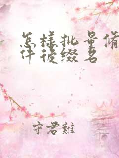 怎样批量修改文件后缀名