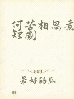 何苦相思煮余年短剧
