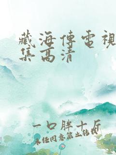 藏海传电视剧全集高清