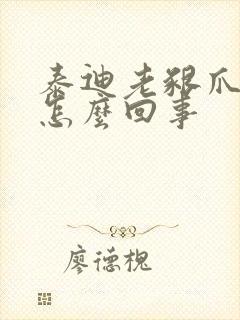泰迪老啃爪子是怎么回事