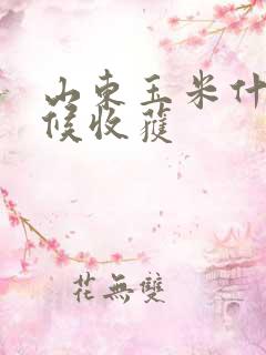 山东玉米什么时候收获
