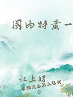 国内特黄一级片