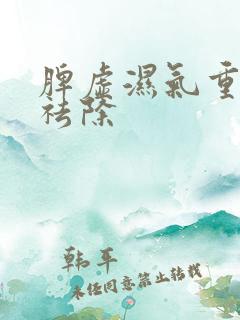 脾虚湿气重怎样祛除
