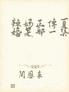 辣妈正传夏冰结婚是哪一集