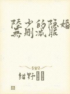 陆少的隐婚罪妻无删减版