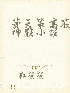 萧天策高薇薇天神殿小说