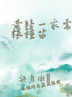 黄精一亩需多少株种苗